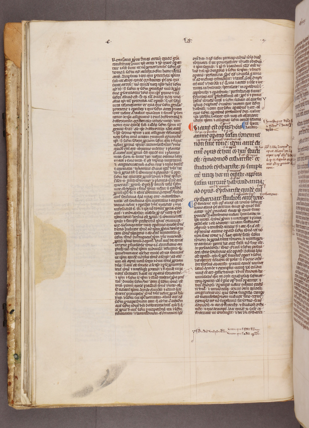 Folio 28 verso